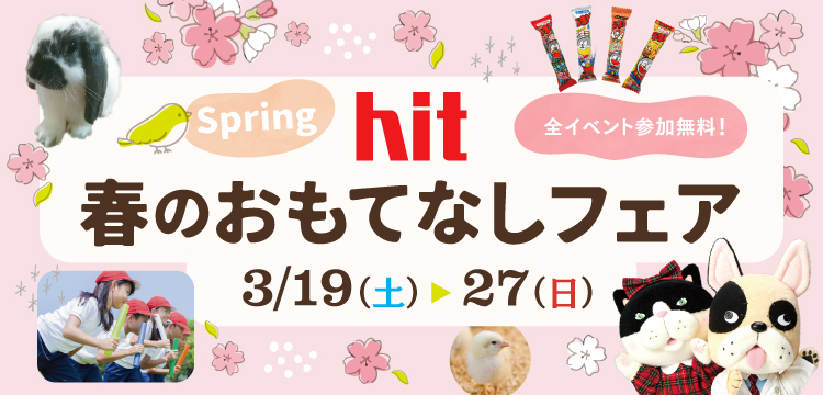 デリシャスパーティ プリキュアショー 撮影会 観覧無料 Ku 福岡の新築一戸建てはhit住宅展示場