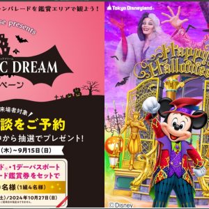 【大好評】東京ディズニーランド・ファンタスティックドリームキャンペーン